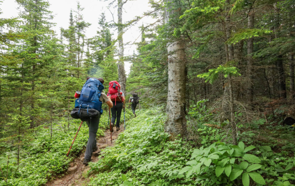 ultimate guide to Isle Royale Hiking Trails