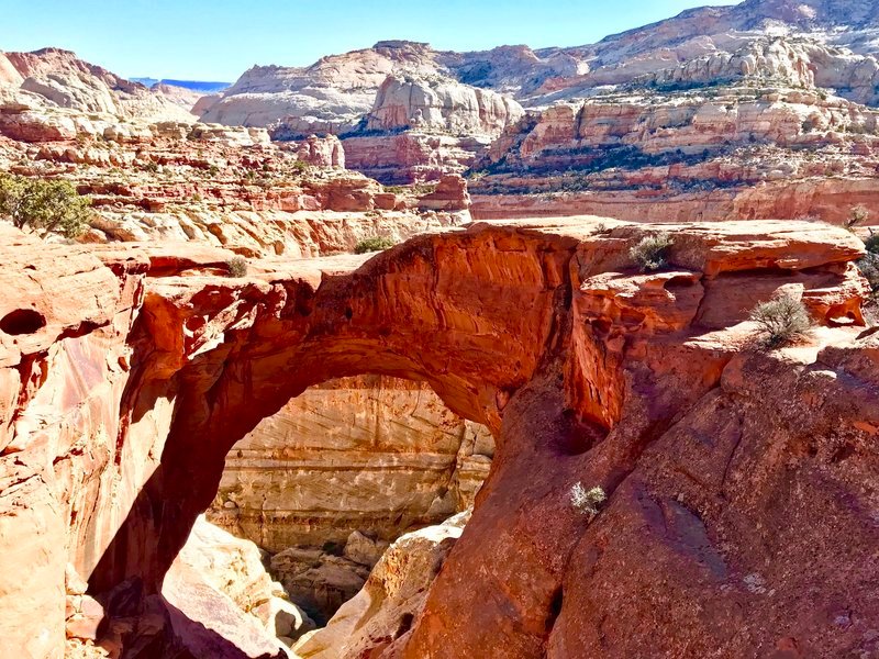 Explore Capitol Reef Park in Two Days