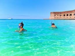 Guide to Snorkeling in Dry Tortugas Park