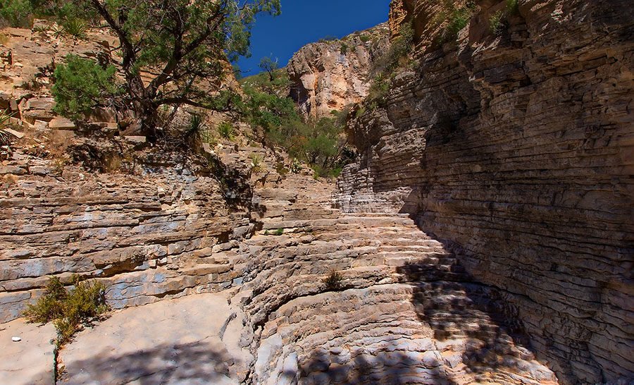 top hiking trails in Guadalupe Mountains