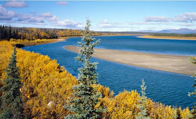 The Journey to Kobuk Valley: How to Plan a 2-Day Tour for Remote Adventure