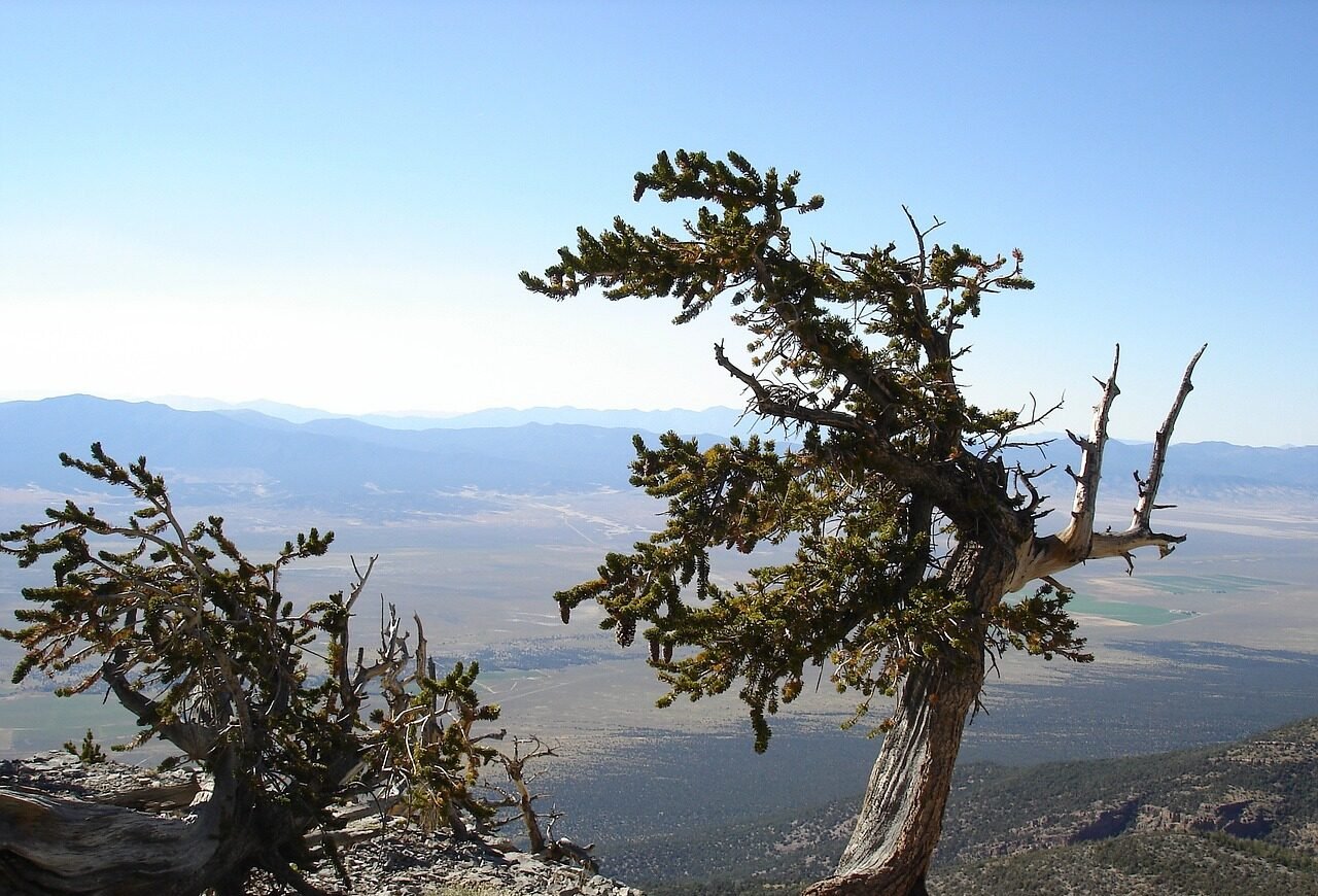 best hiking trails in Great Basin Park