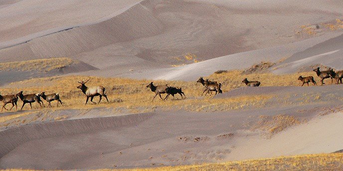 Snowboarding at Great Sand Dunes