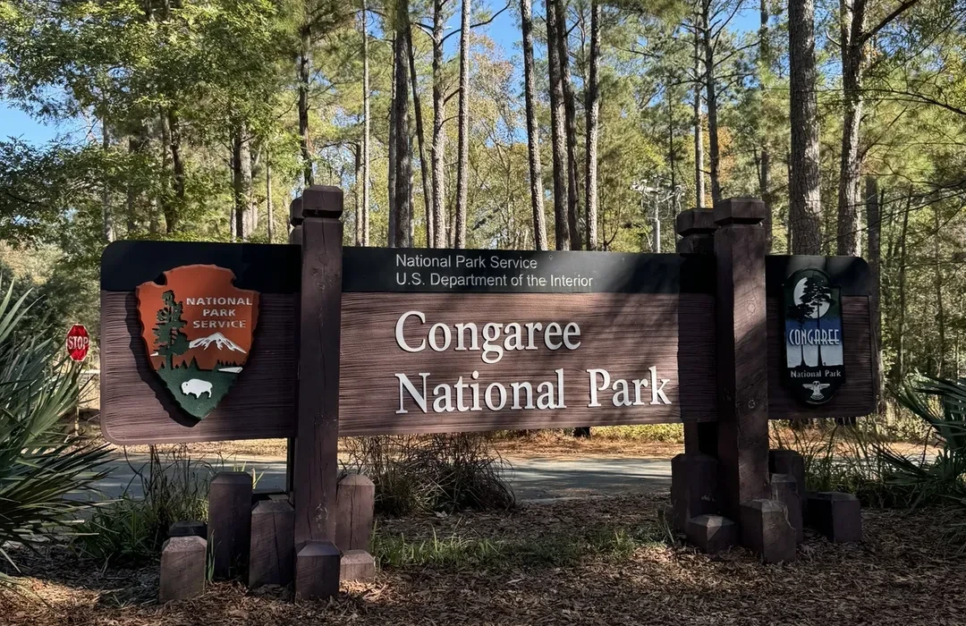 Wildlife Watching in Congaree National Park: Ultimate Guide to Spotting Nature’s Marvels