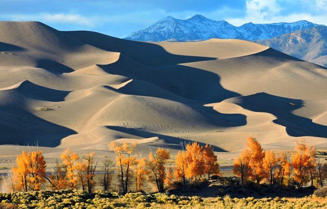 the tallest Sand Dunes in North America