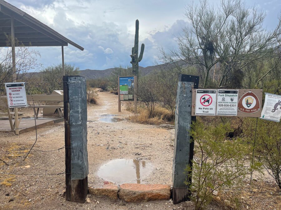 7 Hiking Trails in Saguaro National Park