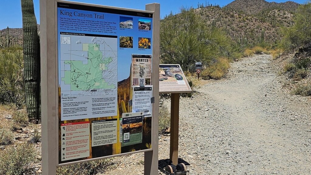 7 Hiking Trails in Saguaro National Park