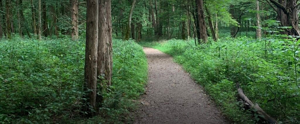 Two Day Family Visit to Mammoth Cave National Park