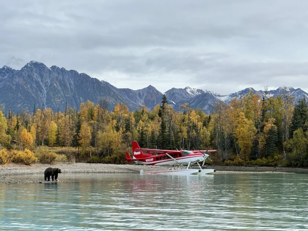 bear watching in Katmai National Park